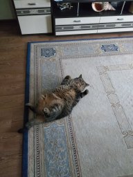 Теa